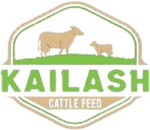 Kailash Cattle Feed